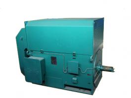 YKK、YXKK高壓三相異步電動(dòng)機(jī)高壓電機(jī)6KV 10KV高壓電機(jī)