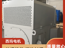 西瑪電機(jī)助力新疆鋼鐵除塵風(fēng)機(jī)高壓電機(jī) 共筑未來(lái)