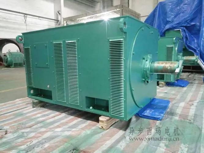 西瑪電機(jī)Y5603-10 560KW <a href=http://m.nbals.com/new/new-47-621.html target='_blank'><a href=http://m.nbals.com/new_tags_225.html target='_blank'>10kv高壓電機(jī)</a></a>